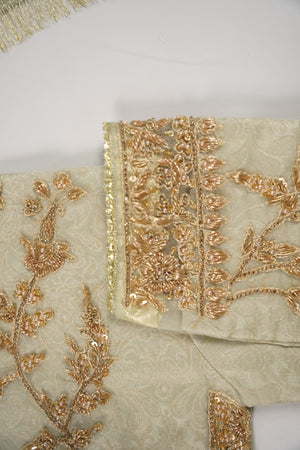 Khaas - Luxury Organza Outfit with chiffon  Dupatta - Ready to Wear SD494
