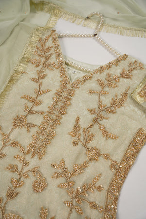 Khaas - Luxury Organza Outfit with chiffon  Dupatta - Ready to Wear SD494