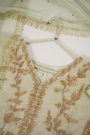 Khaas - Luxury Organza Outfit with chiffon  Dupatta - Ready to Wear SD494