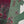 Rozi - Printed  Viscose  Outfit - Ready to Wear PD133 pista