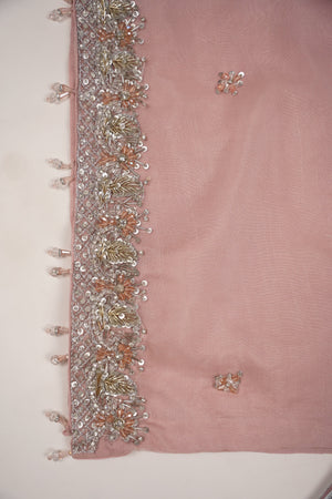 Khaas - Luxury Organza Outfit with Sharara - Adda Work - Ready to Wear - MC-11-D5