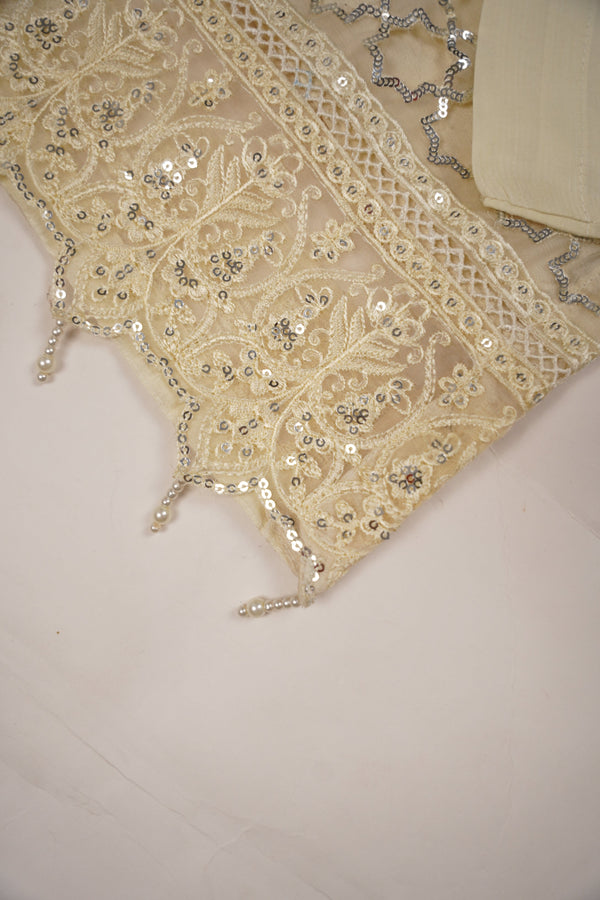 PRE ORDER - Tehwar - Luxury Organza Festive Collection - Ready to Wear - MC-11-D7