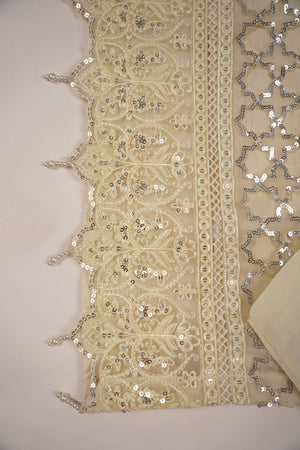 Tehwar - Luxury Organza Festive Collection - Ready to Wear - MC-11-D7