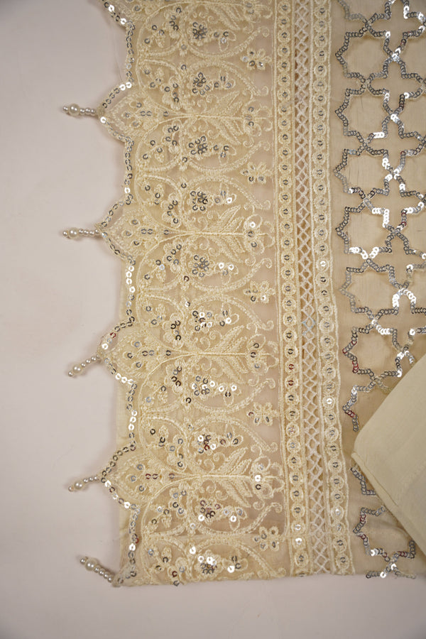 PRE ORDER - Tehwar - Luxury Organza Festive Collection - Ready to Wear - MC-11-D7