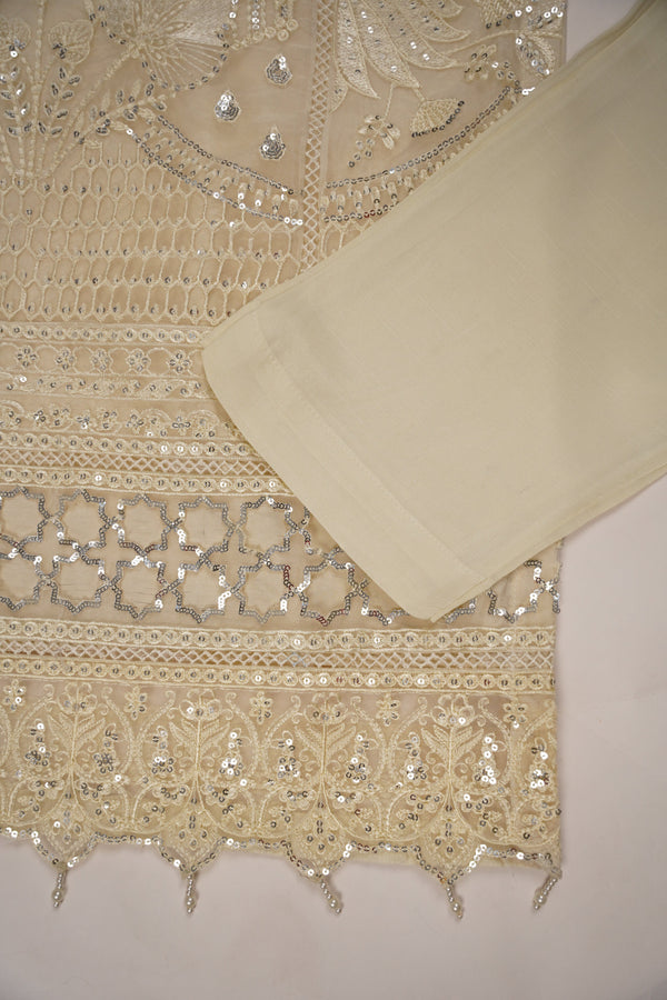 PRE ORDER - Tehwar - Luxury Organza Festive Collection - Ready to Wear - MC-11-D7