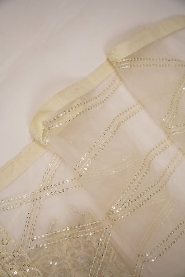 PRE ORDER - Tehwar - Luxury Organza Festive Collection - Ready to Wear - MC-11-D7