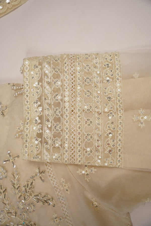 PRE ORDER - Tehwar - Luxury Organza Festive Collection - Ready to Wear - MC-11-D7