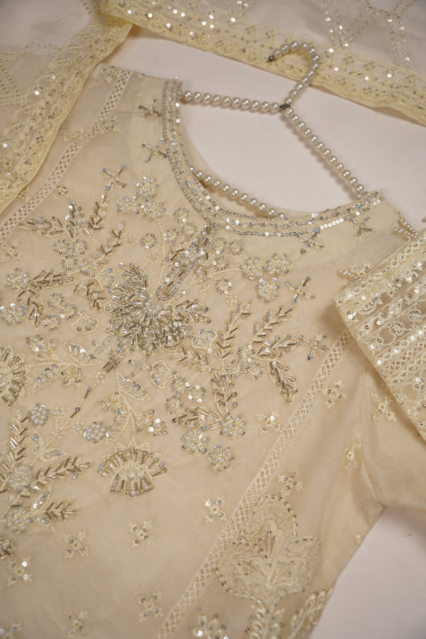 PRE ORDER - Tehwar - Luxury Organza Festive Collection - Ready to Wear - MC-11-D7