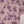 Rozi - Exclusive Khaddar  Shirt And Trouser- Ready to Wear - MC198