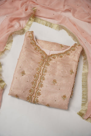 Khaas - Luxury Organza Outfit with chiffon  Dupatta - Ready to Wear SD492