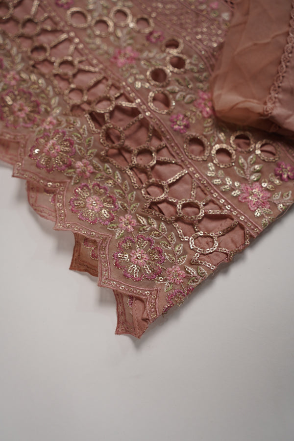 Husan e Jahan - Luxury Chiffon Outfit with Chiffon Dupatta - Ready to Wear - HEJ-V4-D4