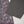 Bin Saeed Originals  - Exclusive Khaddar Outfit with  Shawl - Ready to Wear SD538