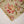Rozi - Exclusive Khaddar  Shirt And Trouser- Ready to Wear - SB196