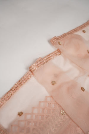 Husan e Jahan - Luxury Chiffon Outfit with Chiffon Dupatta - Ready to Wear - HEJ-V4-D5