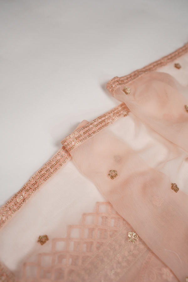 Husan e Jahan - Luxury Chiffon Outfit with Chiffon Dupatta - Ready to Wear - HEJ-V4-D5