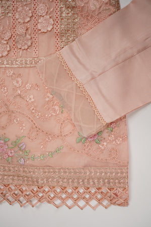 Husan e Jahan - Luxury Chiffon Outfit with Chiffon Dupatta - Ready to Wear - HEJ-V4-D5