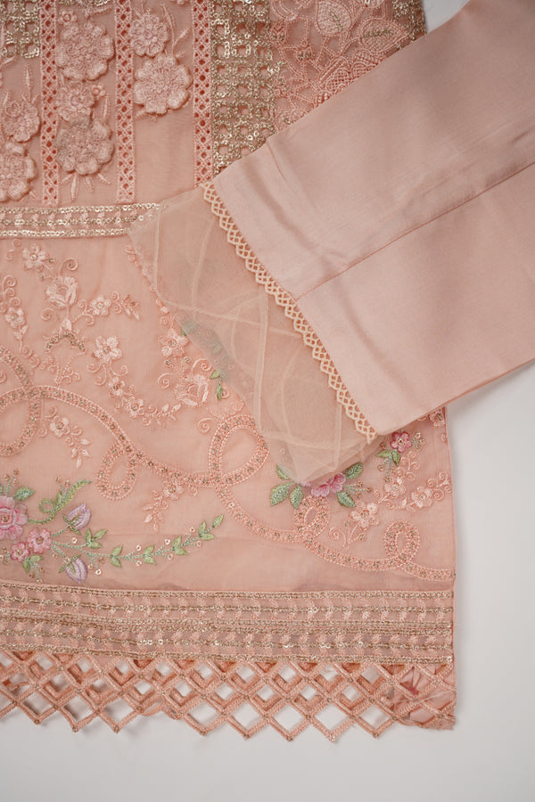 Husan e Jahan - Luxury Chiffon Outfit with Chiffon Dupatta - Ready to Wear - HEJ-V4-D5