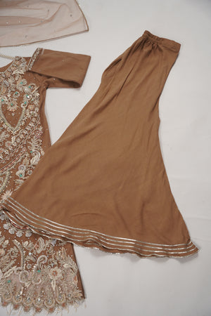 Khaas - Luxury Net Outfit with Net  Dupatta - Ready to Wear SD503