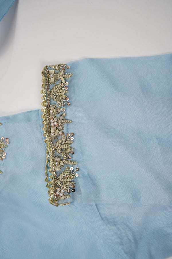 Khaas - Luxury Organza Outfit - Hand Work - Ready to Wear -TEHV7D9
