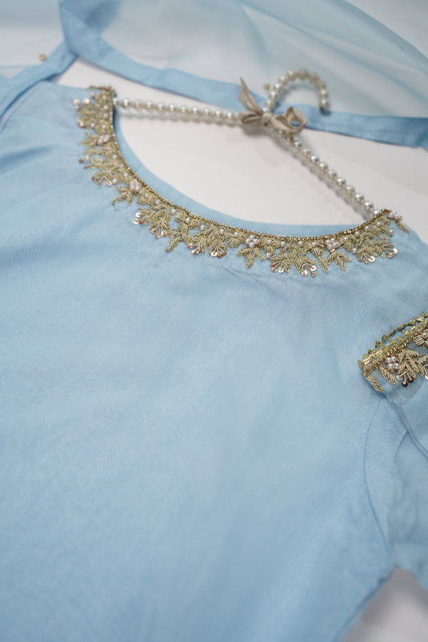 Khaas - Luxury Organza Outfit - Hand Work - Ready to Wear -TEHV7D9