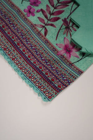 Rozi - Printed Viscose Outfit - Ready to Wear PD128-SB