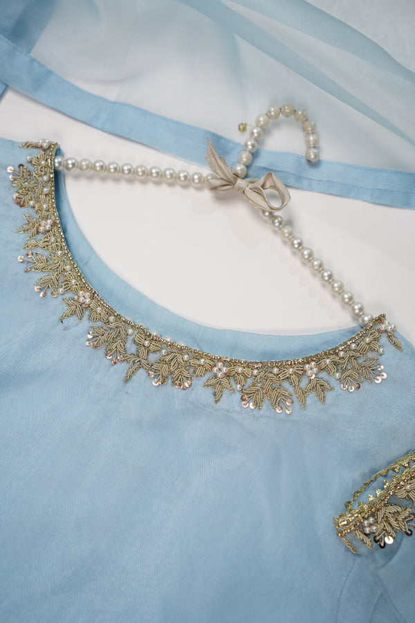 Khaas - Luxury Organza Outfit - Hand Work - Ready to Wear -TEHV7D9