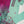 Rozi - Printed Viscose Outfit - Ready to Wear PD128-SB