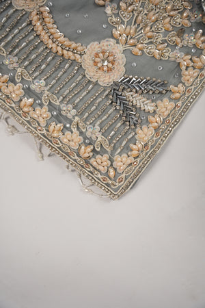 Khaas - Luxury Net Outfit with Net  Dupatta - Ready to Wear SD499