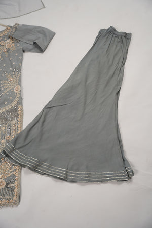 Khaas - Luxury Net Outfit with Net  Dupatta - Ready to Wear SD499