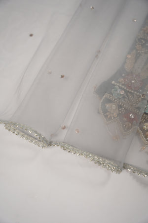 Khaas - Luxury Net Outfit with Net  Dupatta - Ready to Wear SD498
