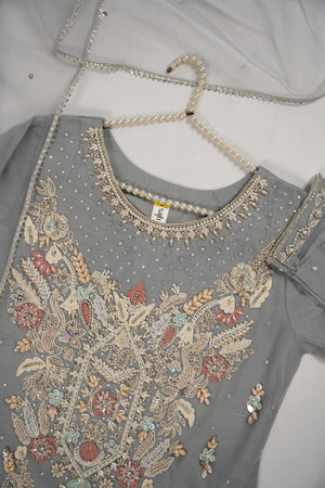 Khaas - Luxury Net Outfit with Net  Dupatta - Ready to Wear SD498