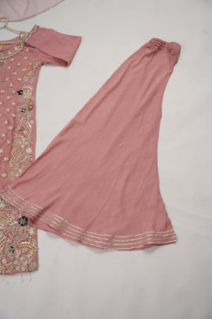 Khaas - Luxury Net Outfit with Net  Dupatta - Ready to Wear SD495