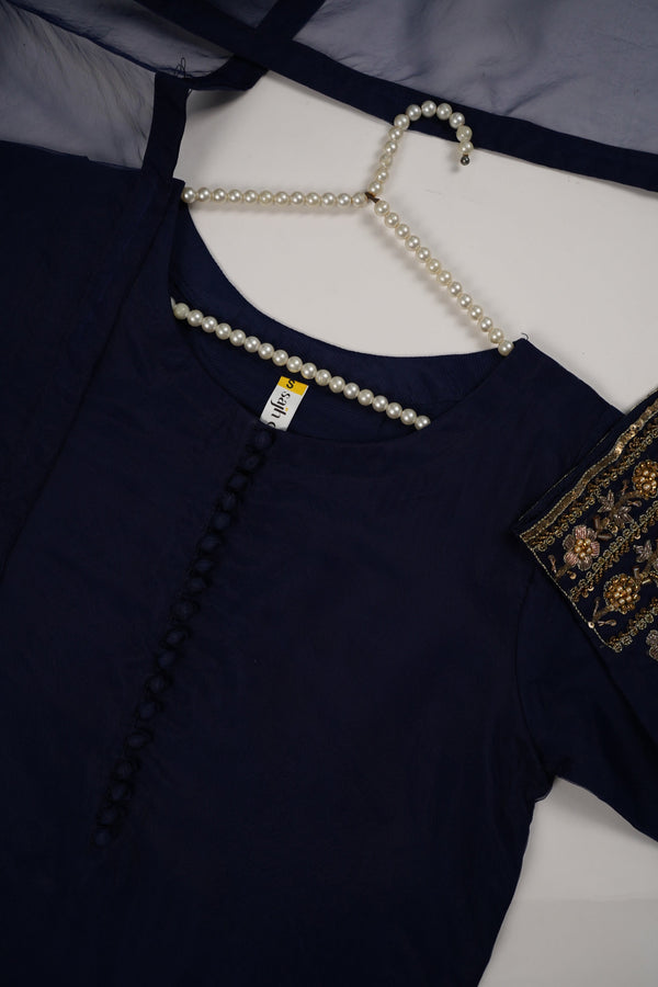 Khaas - Luxury Organza Outfit - Hand Work - Ready to Wear MC260 - Eid Volume 4