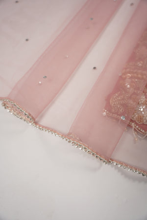 Khaas - Luxury Net Outfit with Net  Dupatta - Ready to Wear SD495