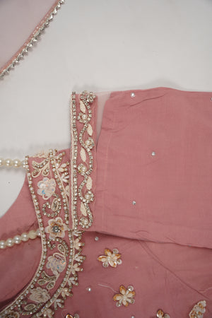 Khaas - Luxury Net Outfit with Net  Dupatta - Ready to Wear SD495