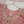 Khaas - Luxury Net Outfit with Net  Dupatta - Ready to Wear SD495