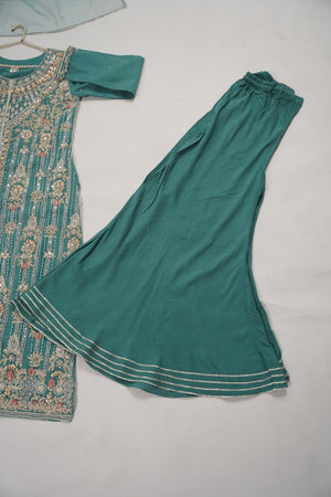 Khaas - Luxury Net Outfit with Net  Dupatta - Ready to Wear SD496