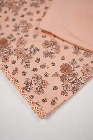 Rozi - Luxury Dhanak Slub Co-Ords - Ready to Wear