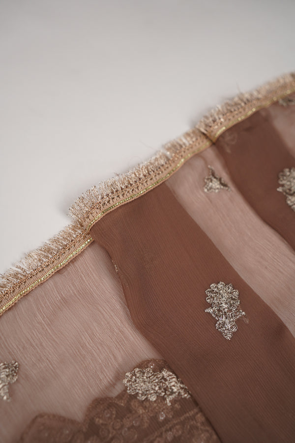 Chiffon Budget Wear Suit with Chiffon Dupatta - Ready to Wear PD017