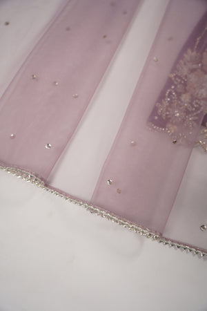 Khaas - Luxury Net Outfit with Net  Dupatta - Ready to Wear SD497