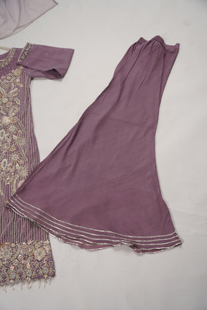 Khaas - Luxury Net Outfit with Net  Dupatta - Ready to Wear SD497