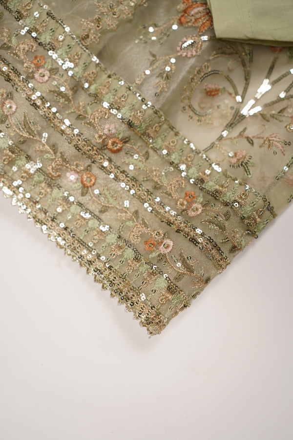 Tehwar - Luxury Organza Maxi  - Ready to Wear