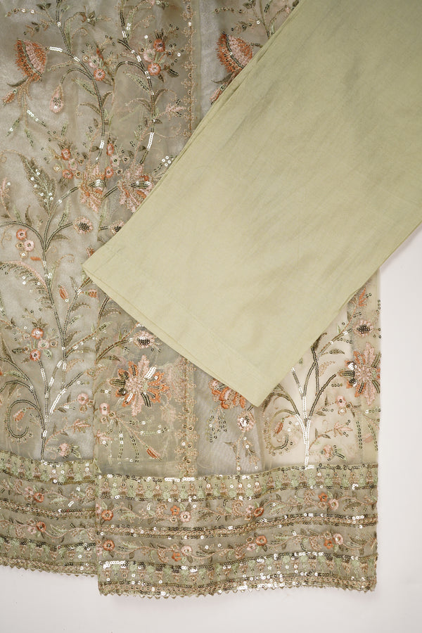Tehwar - Luxury Organza Maxi  - Ready to Wear