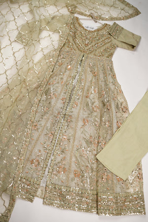 Tehwar - Luxury Organza Maxi  - Ready to Wear -SB-Maxi-pista