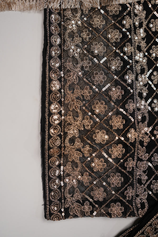 Chiffon Budget Wear Suit with Chiffon Dupatta - Ready to Wear PD021