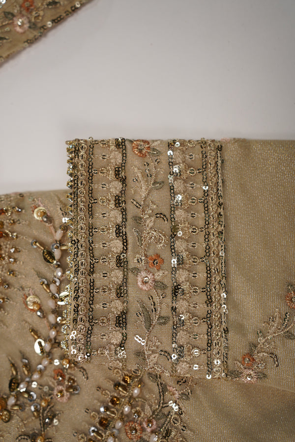 Tehwar-Luxury Organza Maxi - Ready to Wear