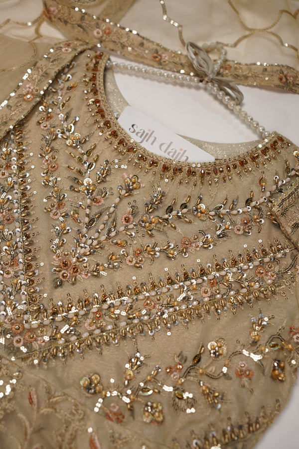 Tehwar - Luxury Organza Maxi  - Ready to Wear SD286