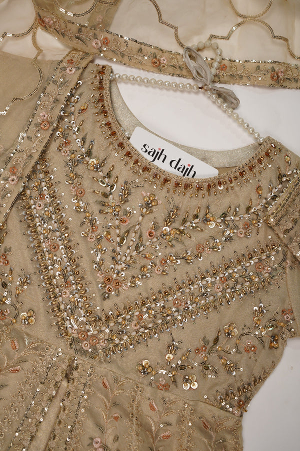 Tehwar - Luxury Organza Maxi  - Ready to Wear SD286