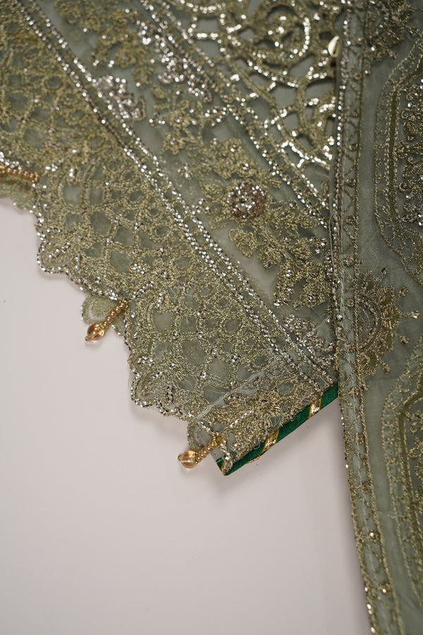 Tehwar - Luxury Organza Festive Collection with Sharara - Ready to Wear - Tehv9d1
