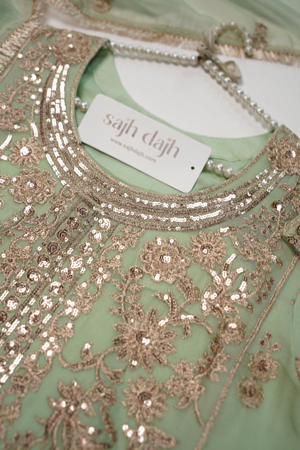 Chiffon Budget Wear Suit with Chiffon Dupatta - Ready to Wear PD018